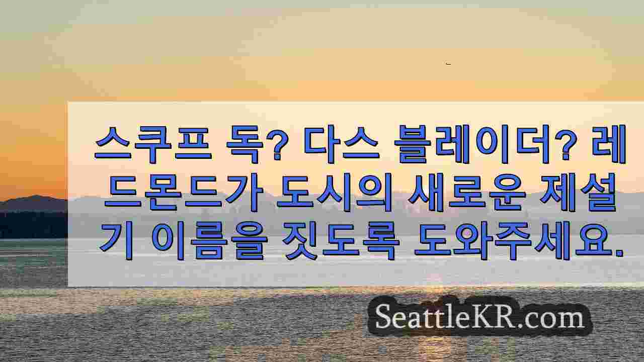 시애틀 뉴스 SeattleKR