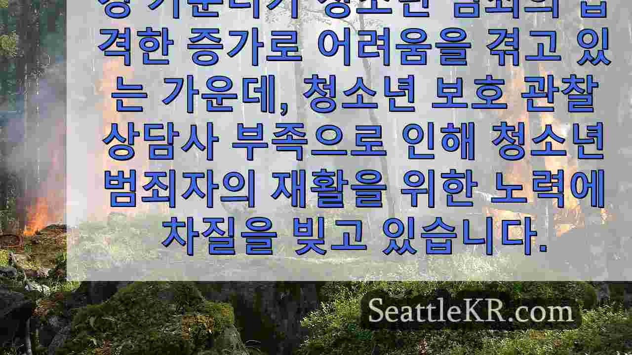 시애틀 뉴스 SeattleKR