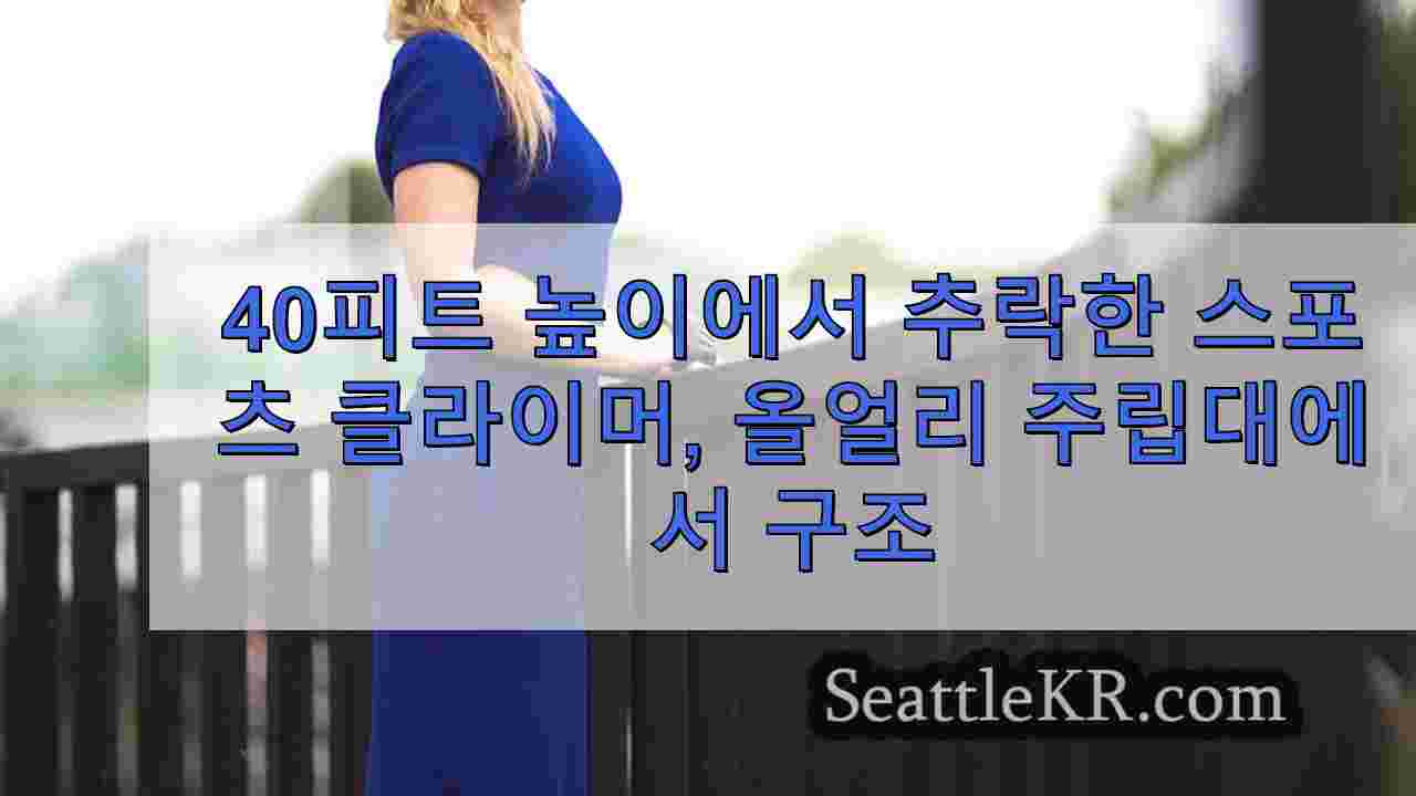 시애틀 뉴스 SeattleKR