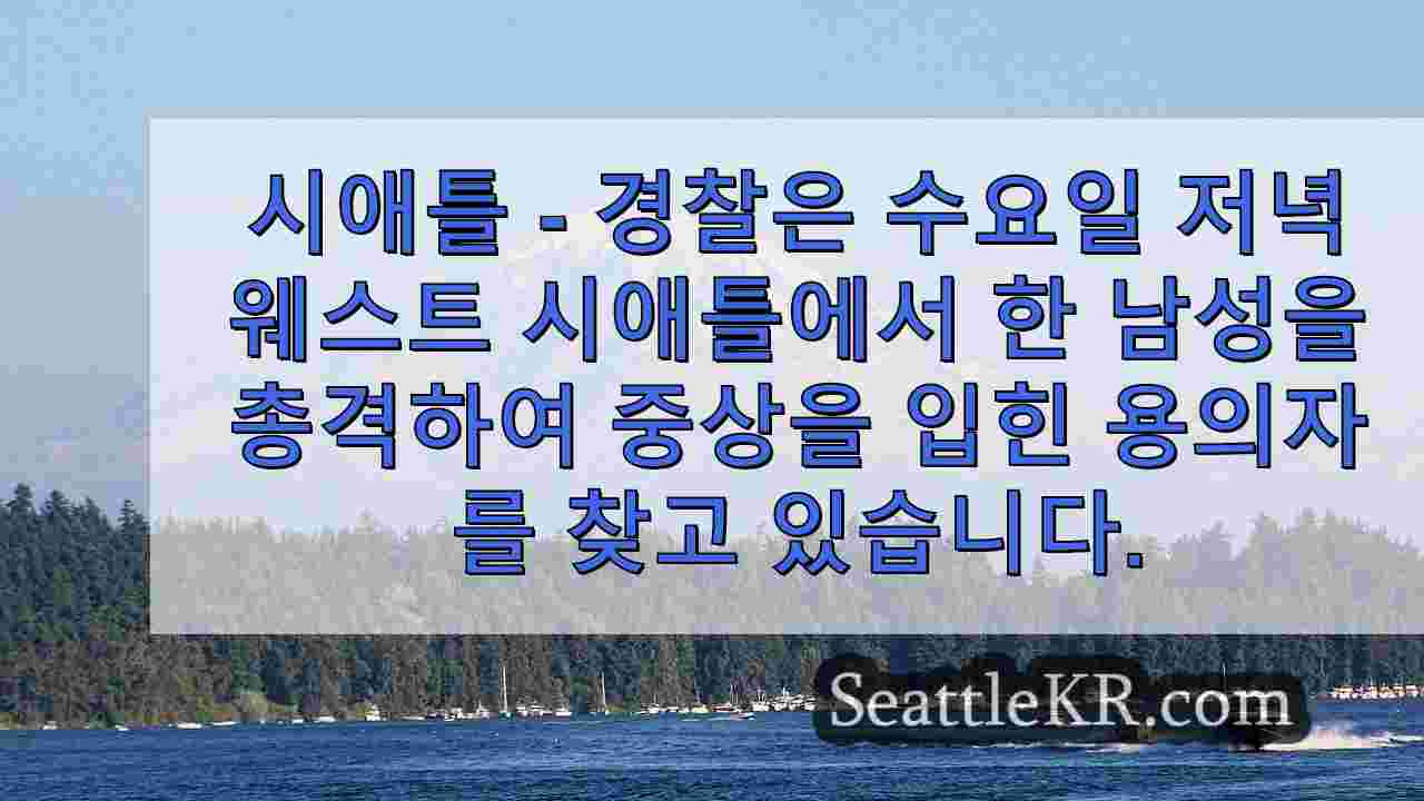 시애틀 뉴스 SeattleKR