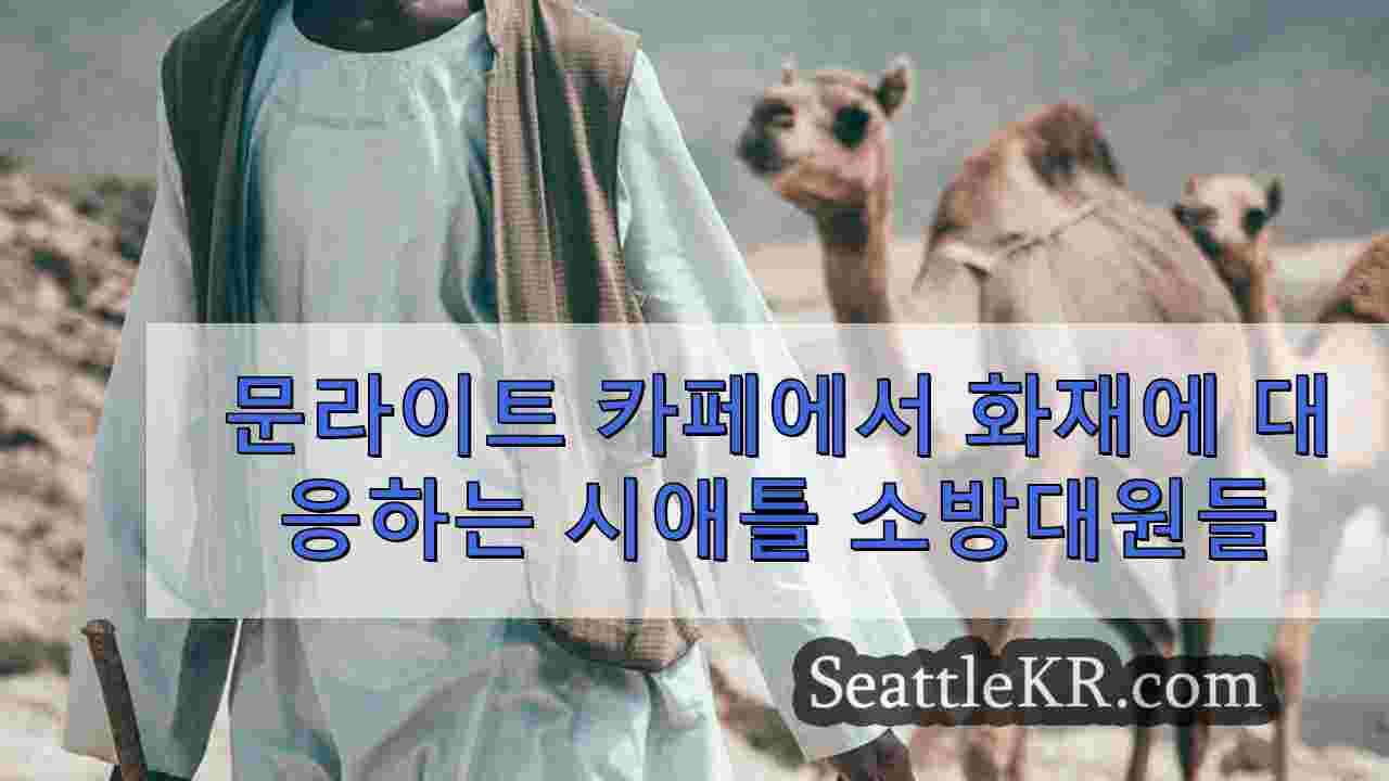 시애틀 뉴스 SeattleKR
