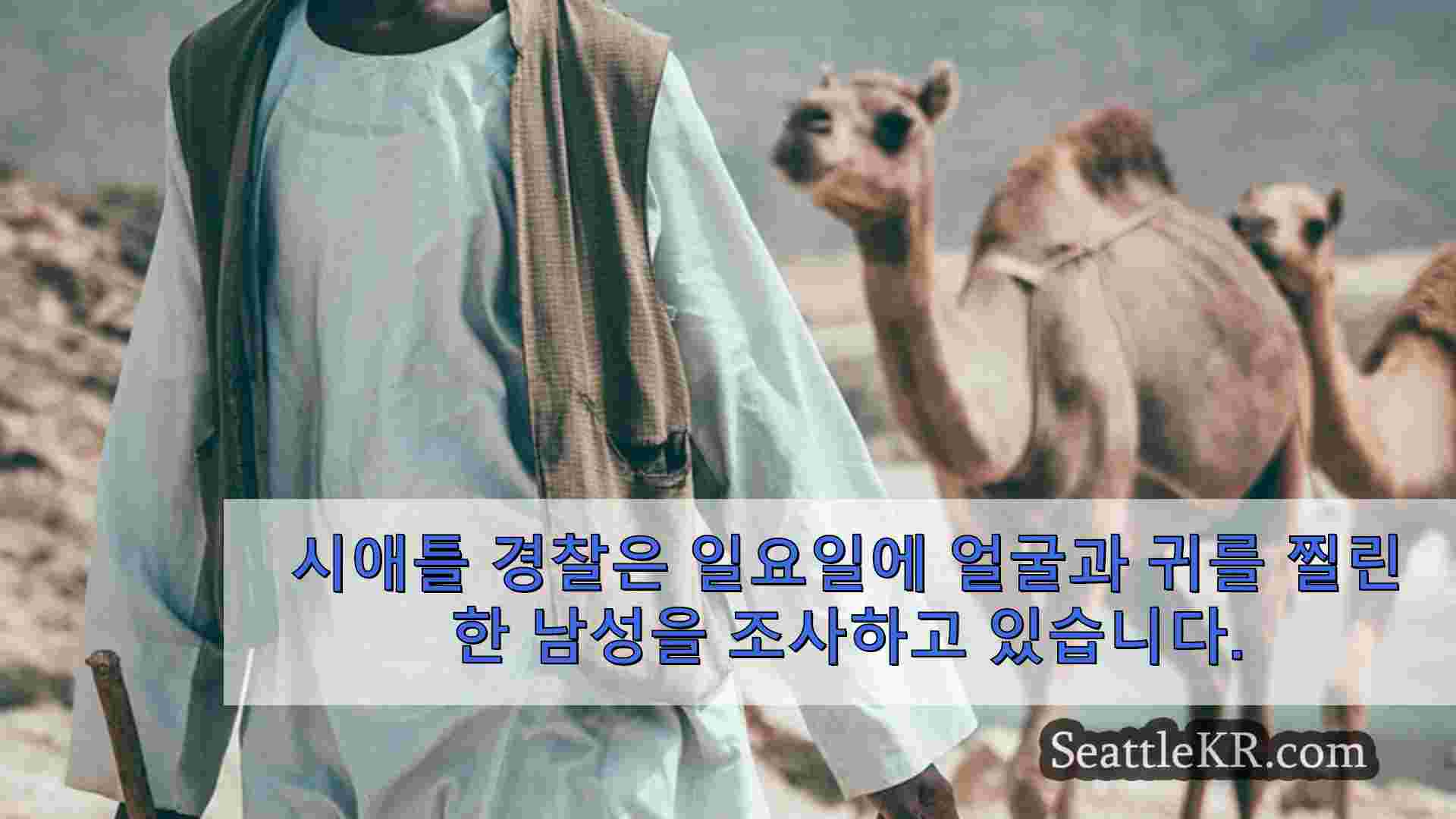시애틀 뉴스 SeattleKR