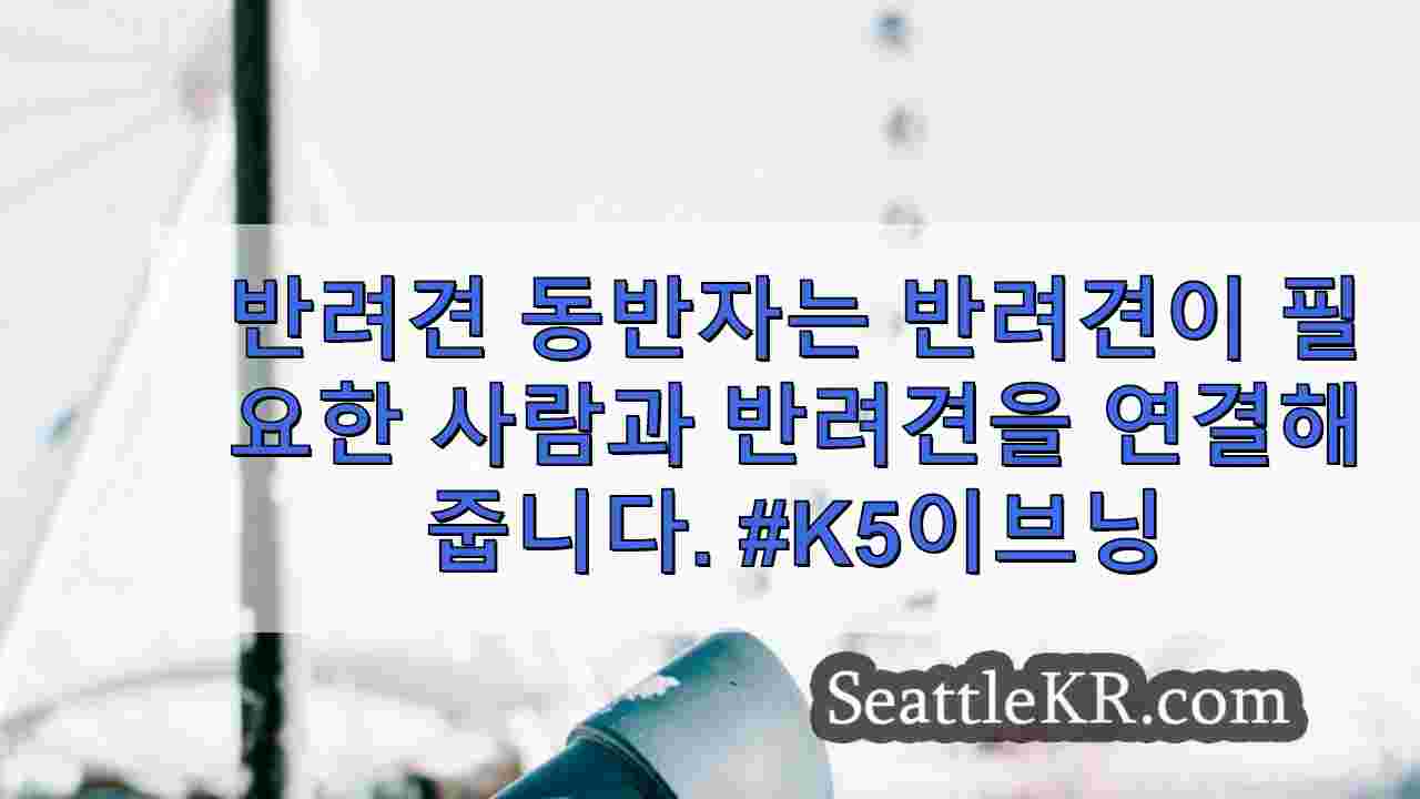시애틀 뉴스 SeattleKR