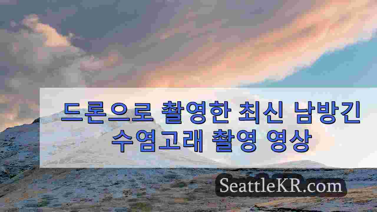 시애틀 뉴스 SeattleKR
