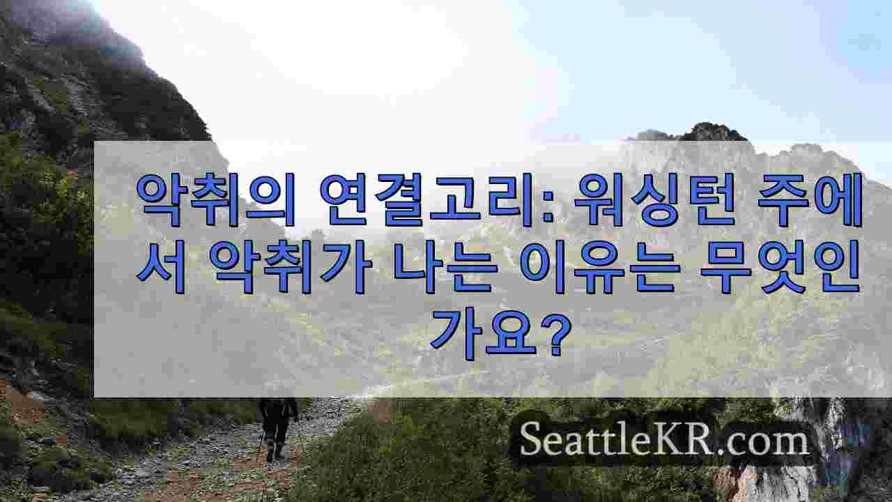 시애틀 뉴스 SeattleKR