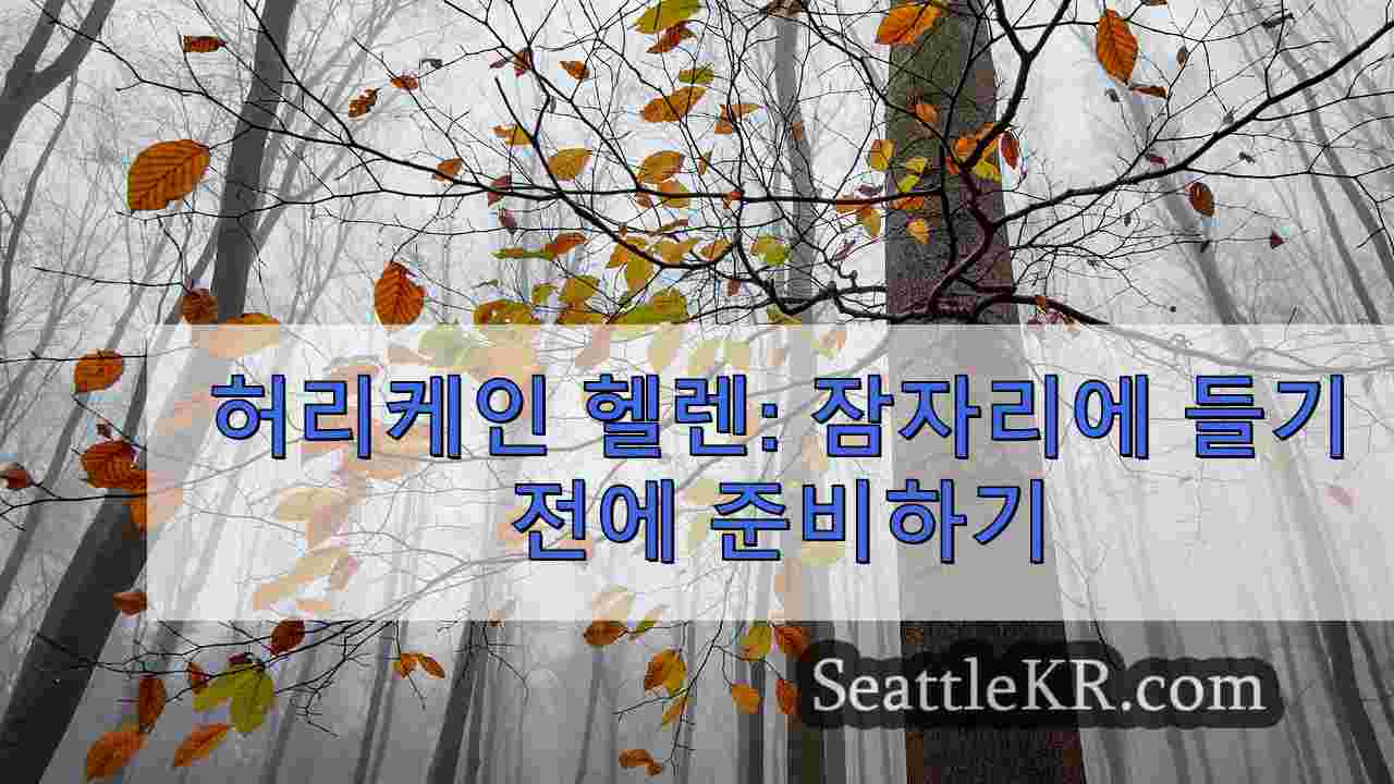 시애틀 뉴스 SeattleKR