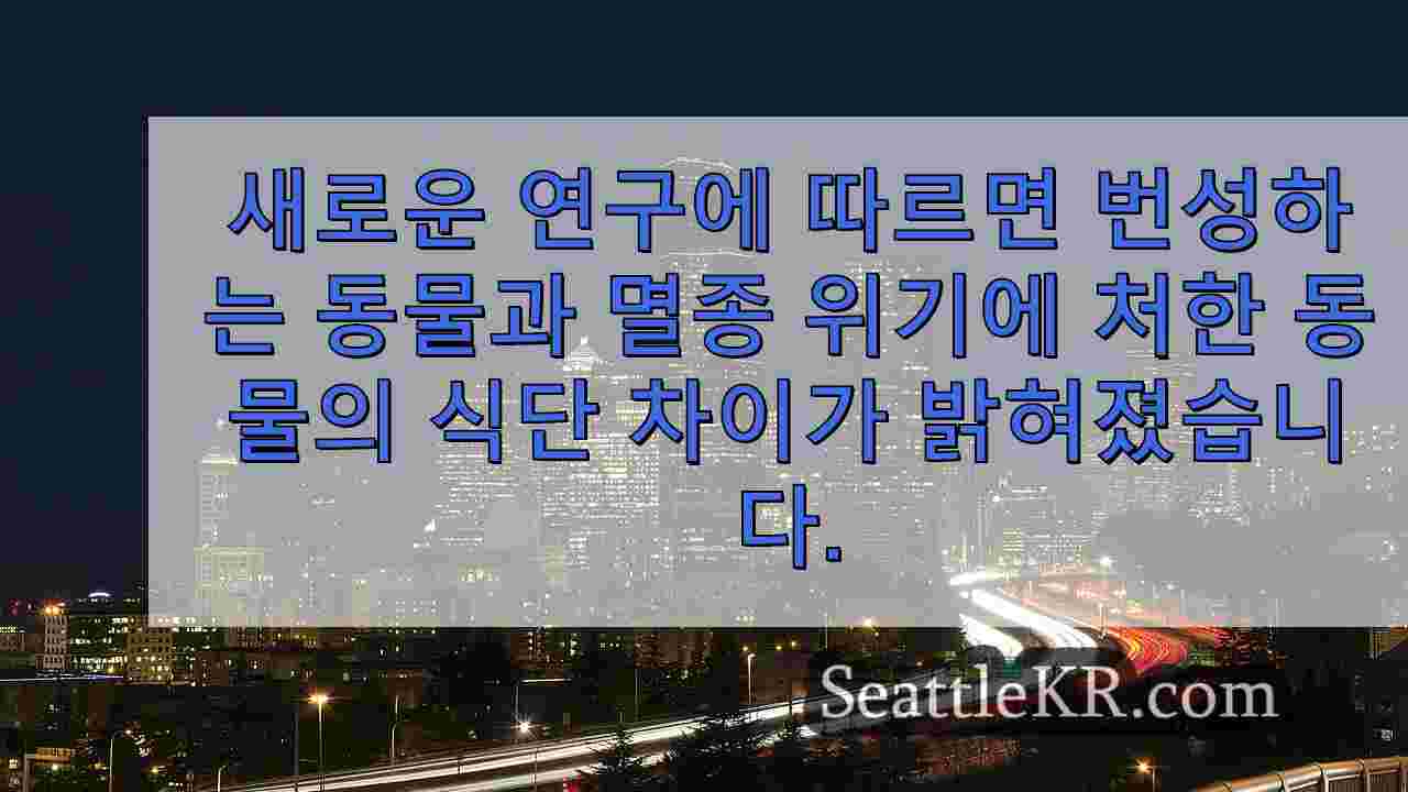 시애틀 뉴스 SeattleKR