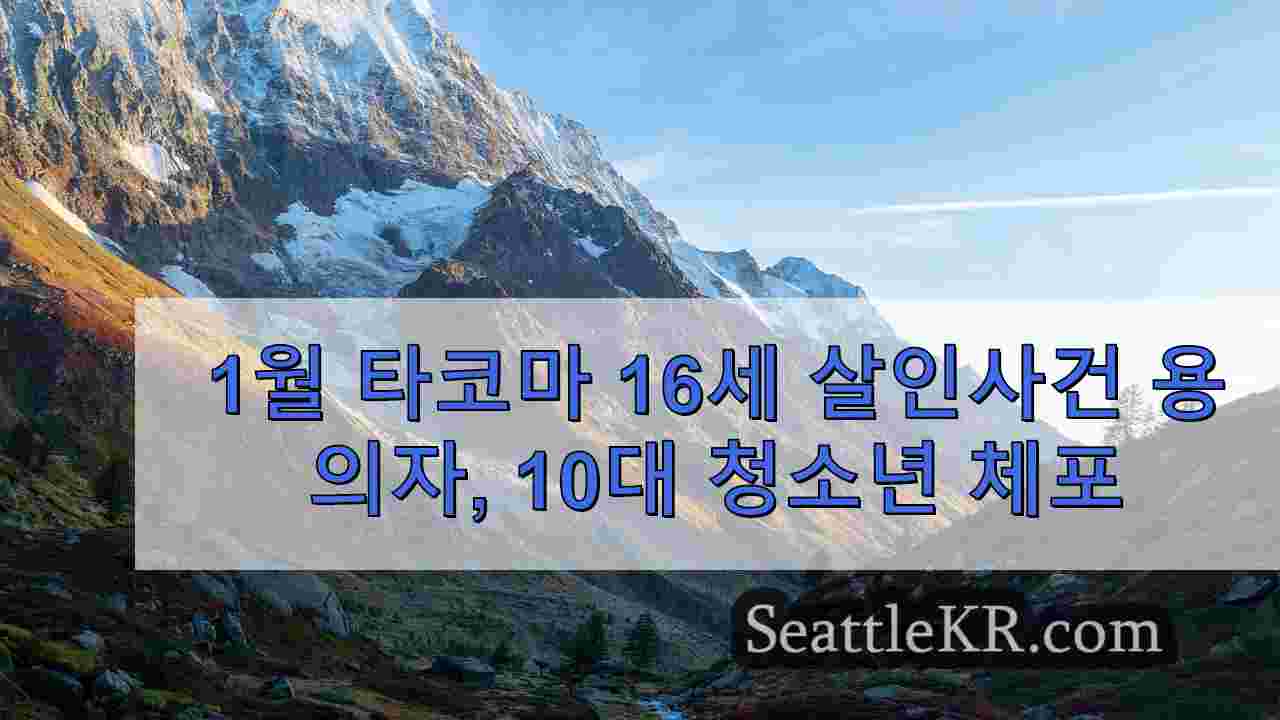 시애틀 뉴스 SeattleKR