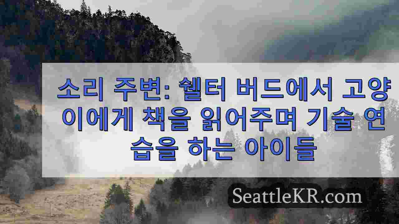 시애틀 뉴스 SeattleKR