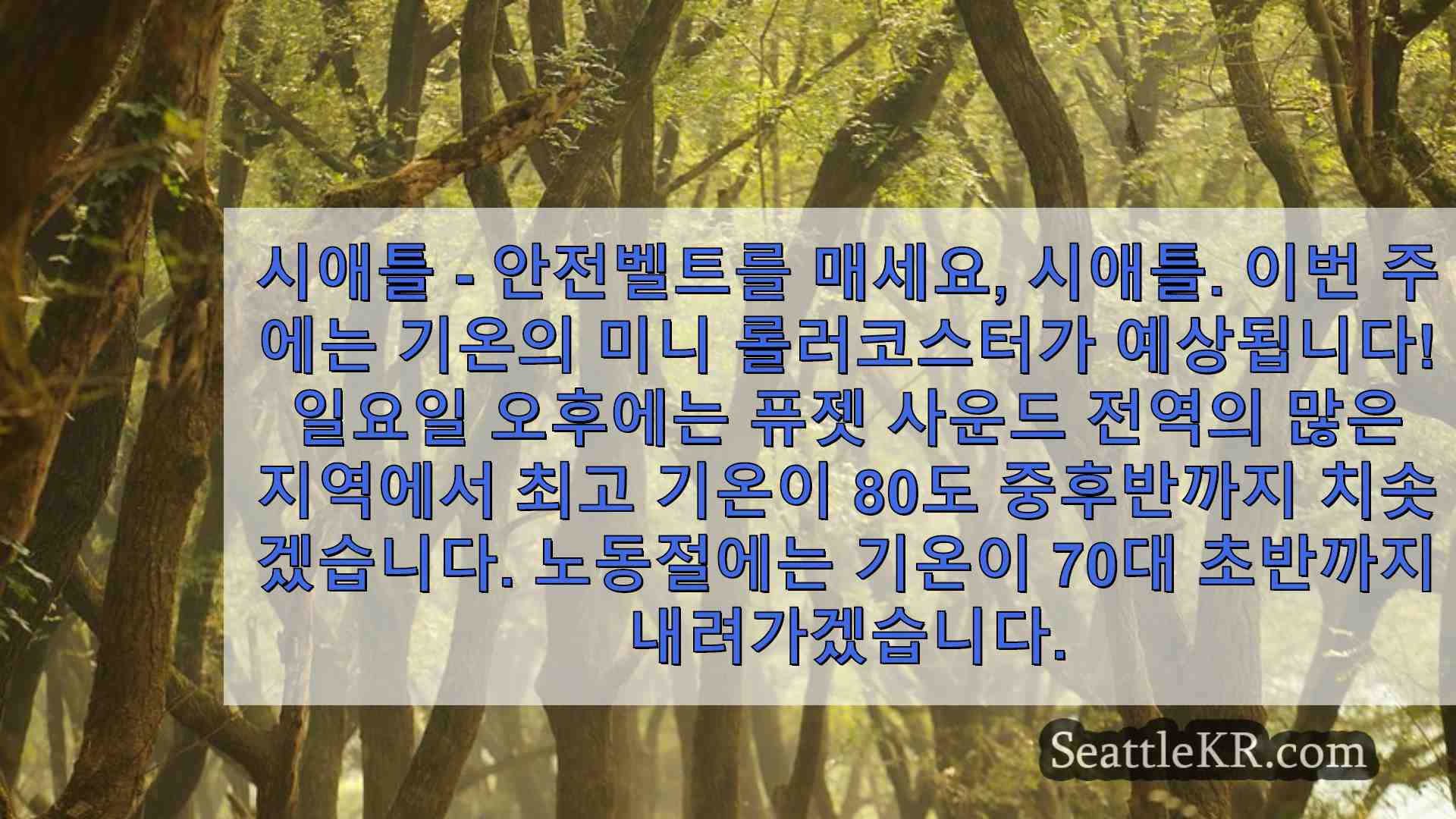 시애틀 뉴스 SeattleKR