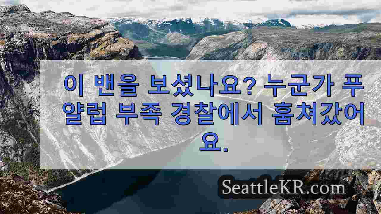 시애틀 뉴스 SeattleKR