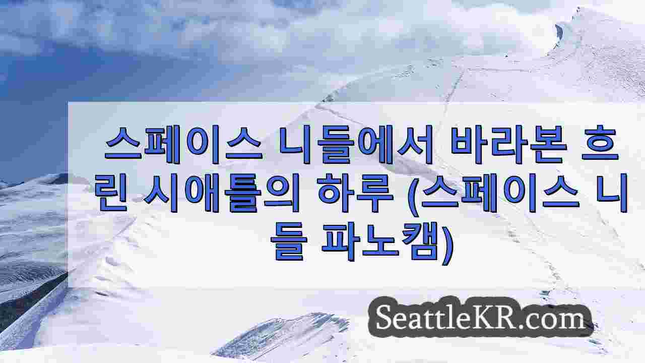 시애틀 뉴스 SeattleKR