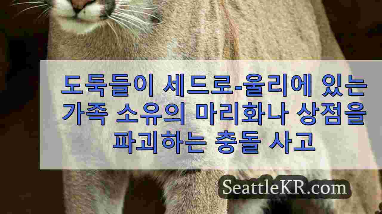 시애틀 뉴스 SeattleKR