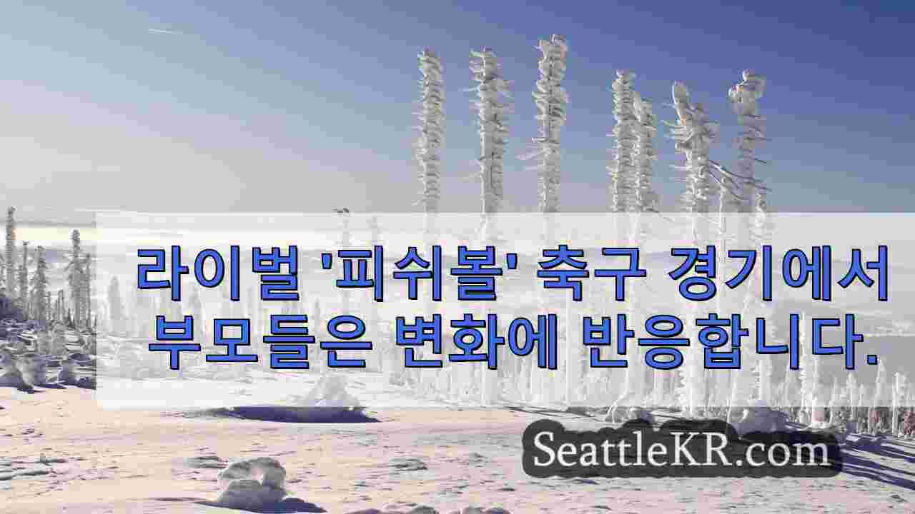 시애틀 뉴스 SeattleKR