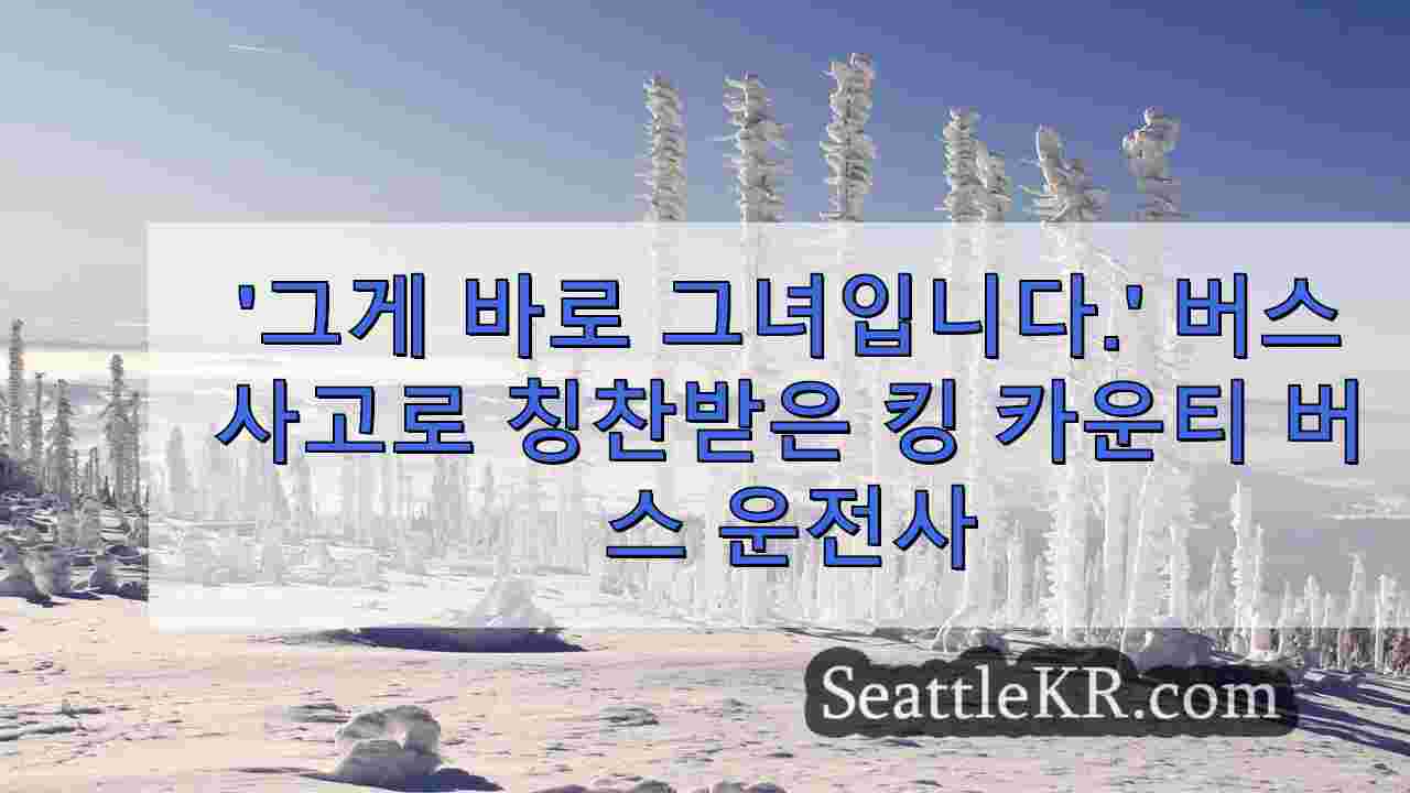 시애틀 뉴스 SeattleKR