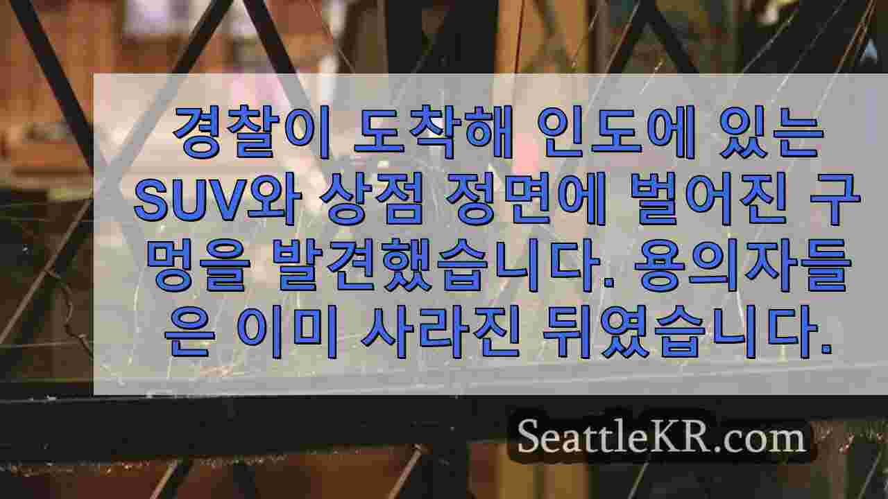 시애틀 뉴스 SeattleKR