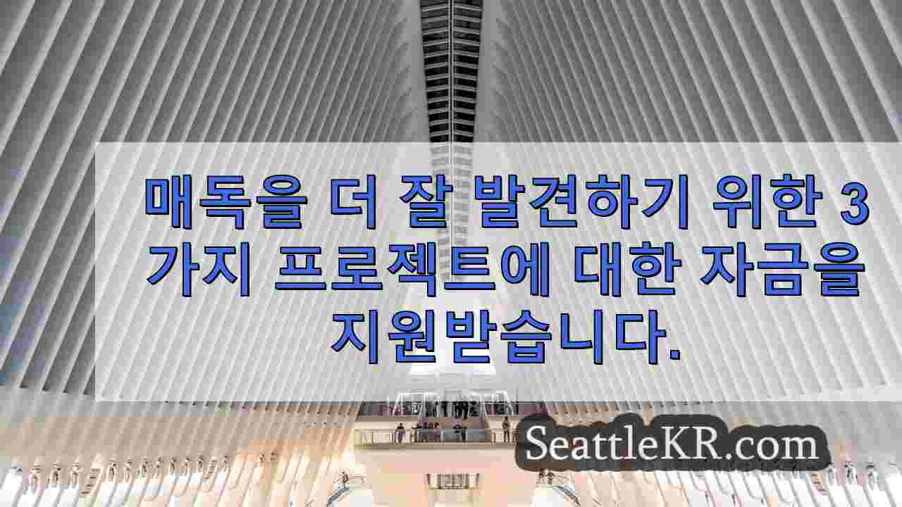 시애틀 뉴스 SeattleKR