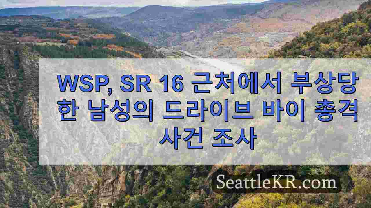 시애틀 뉴스 SeattleKR