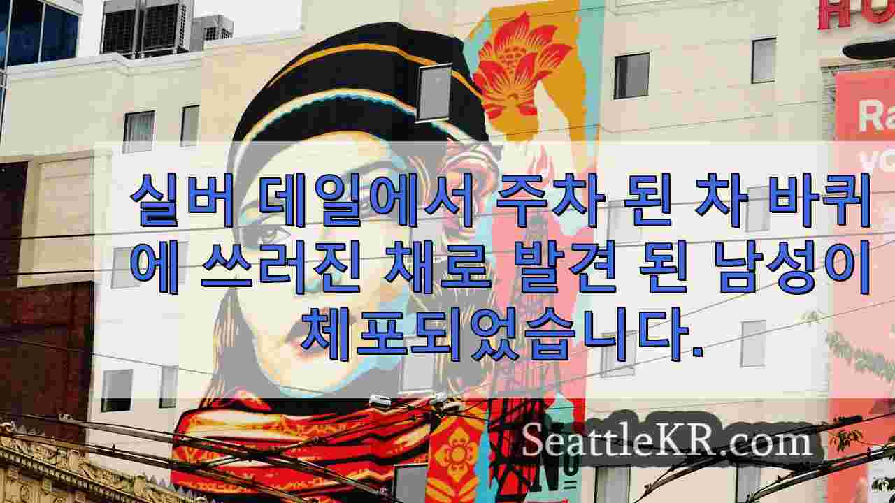 시애틀 뉴스 SeattleKR