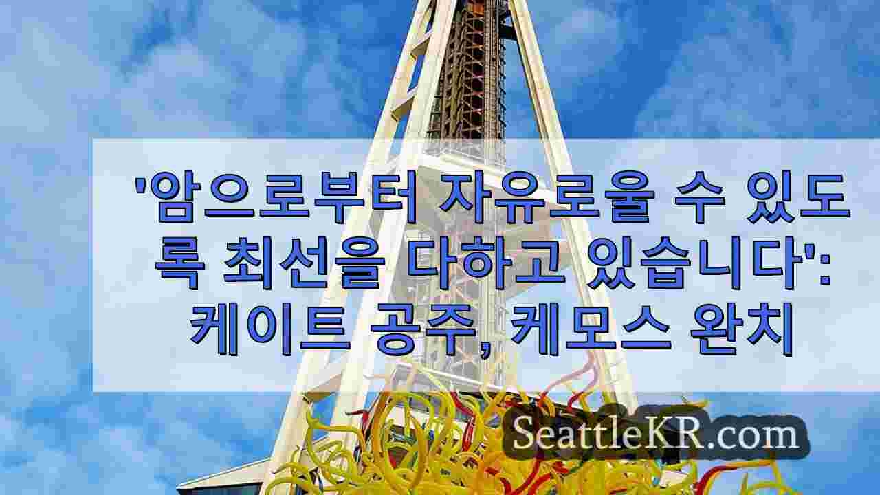 시애틀 뉴스 SeattleKR