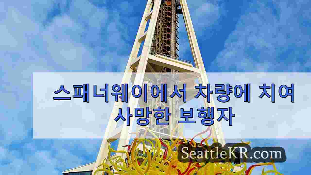 시애틀 뉴스 SeattleKR