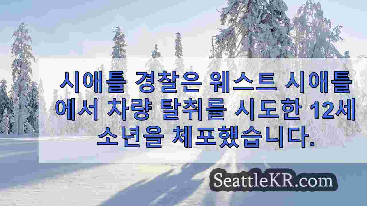시애틀 뉴스 SeattleKR