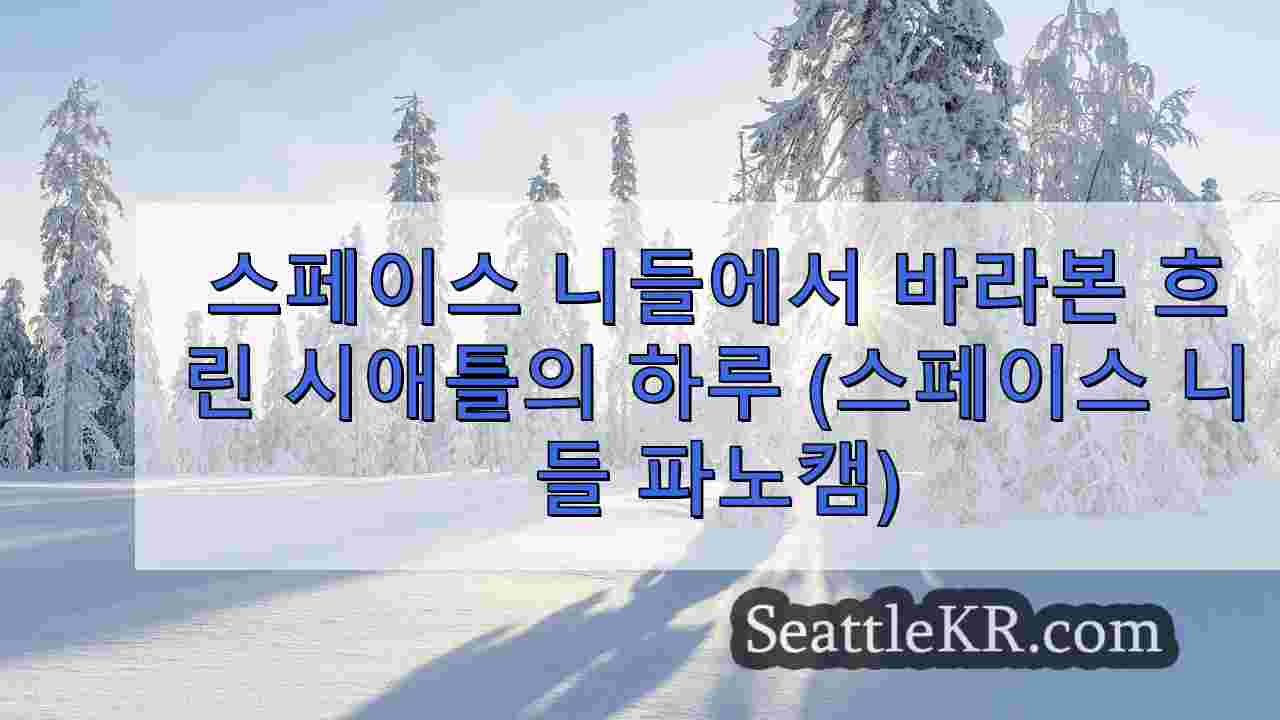 시애틀 뉴스 SeattleKR