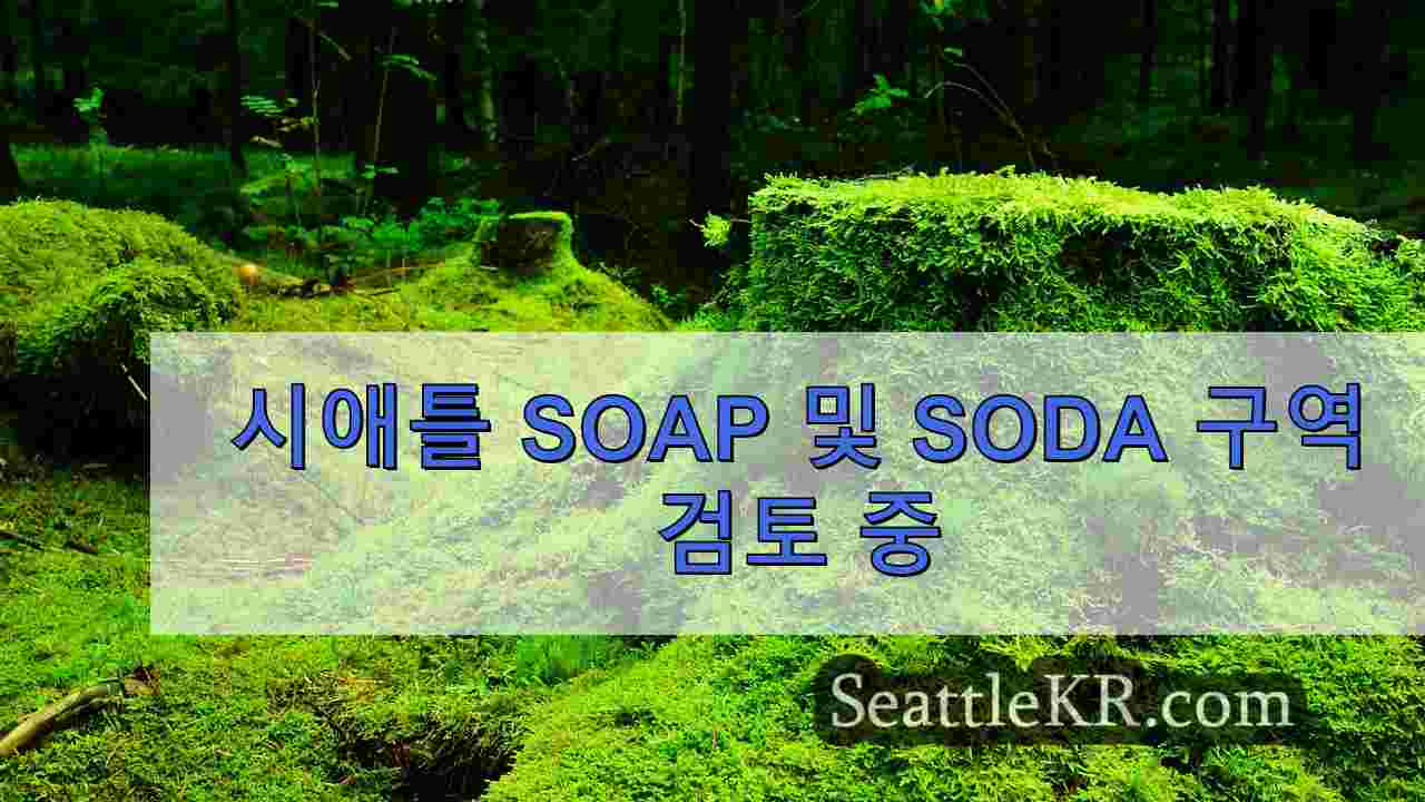 시애틀 뉴스 SeattleKR