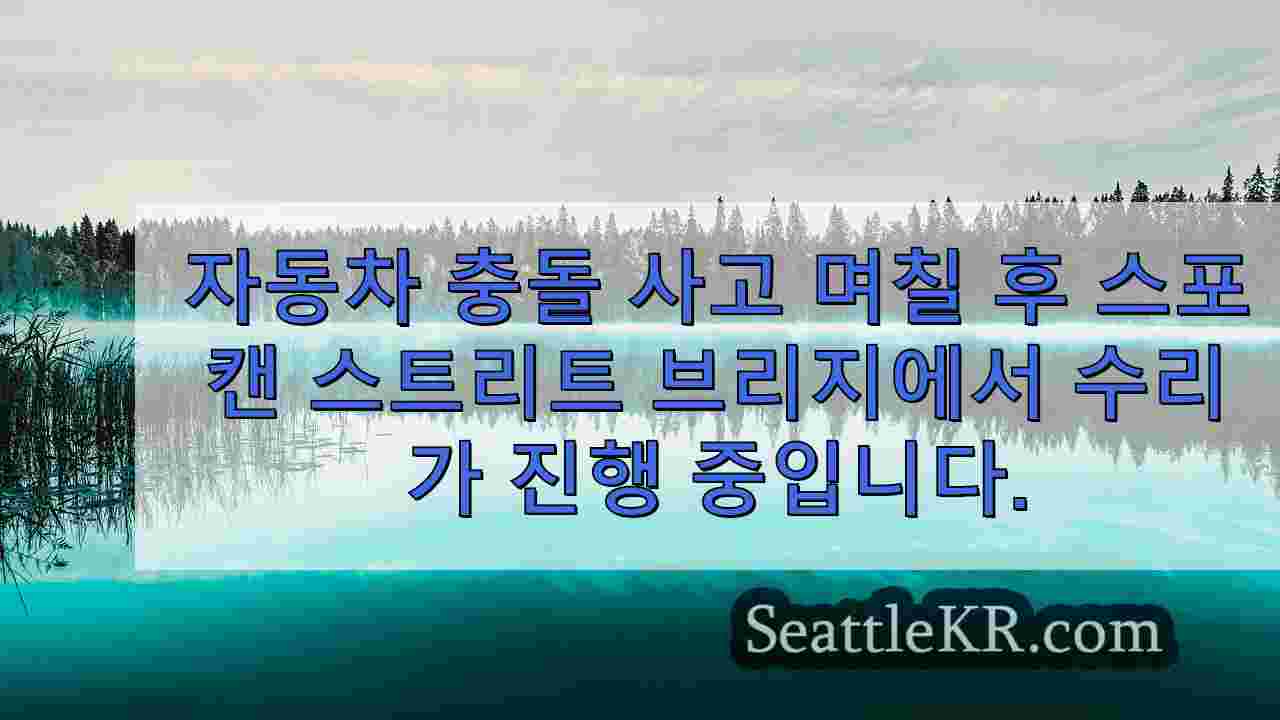 시애틀 뉴스 SeattleKR