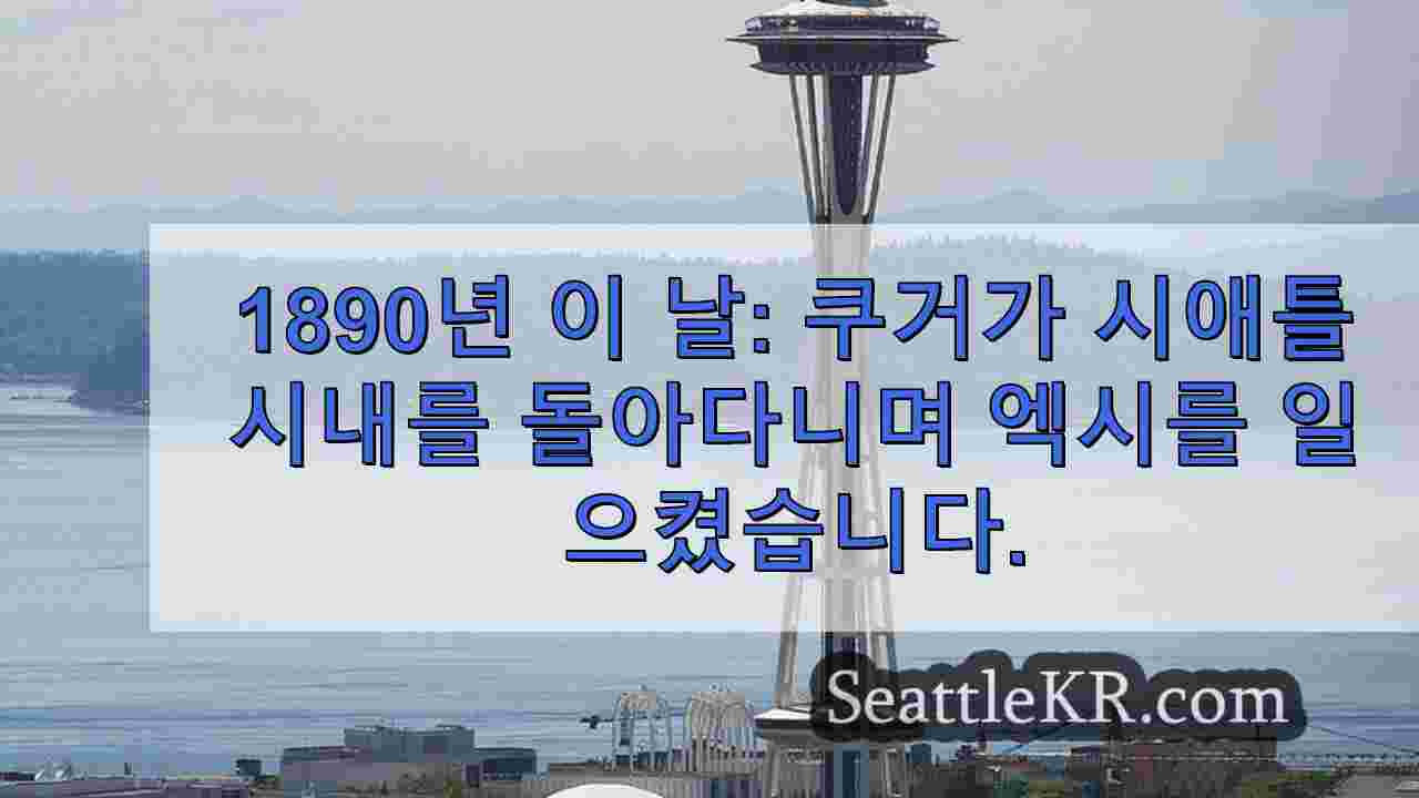 시애틀 뉴스 SeattleKR