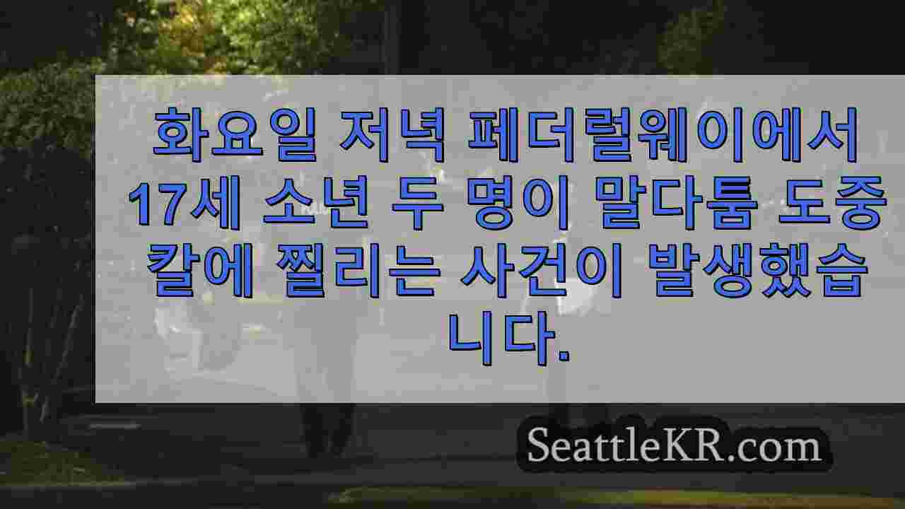 시애틀 뉴스 SeattleKR