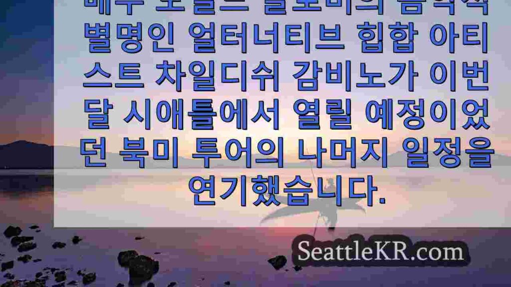 차일디쉬 감비노, 건강상의 이유로 워싱턴주 시애틀 공연 연기