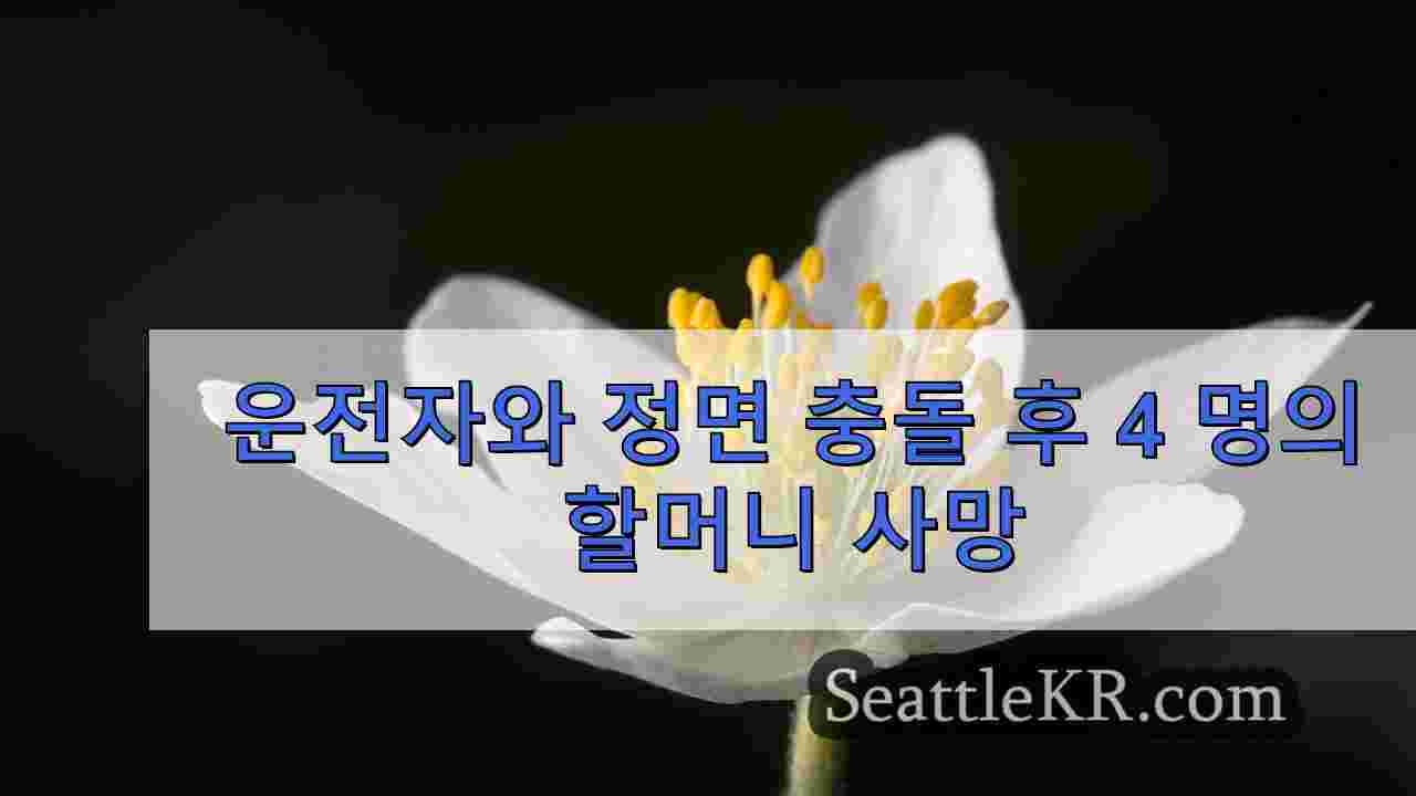 시애틀 뉴스 SeattleKR