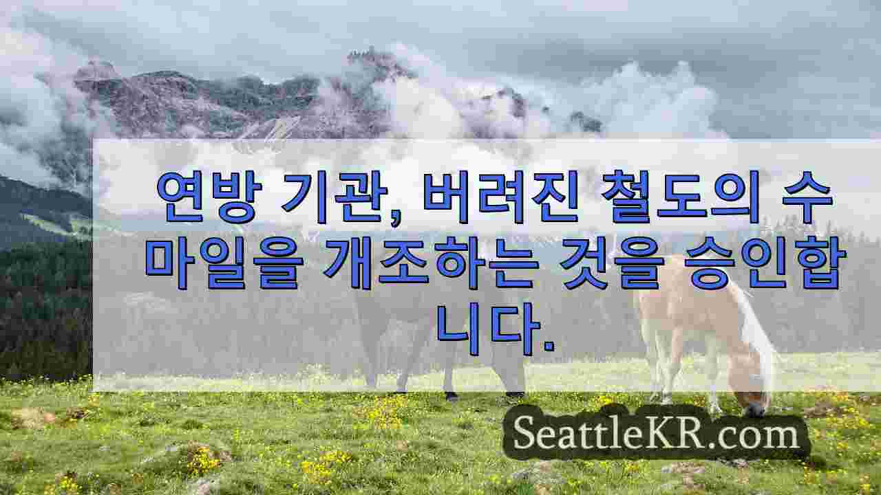 시애틀 뉴스 SeattleKR