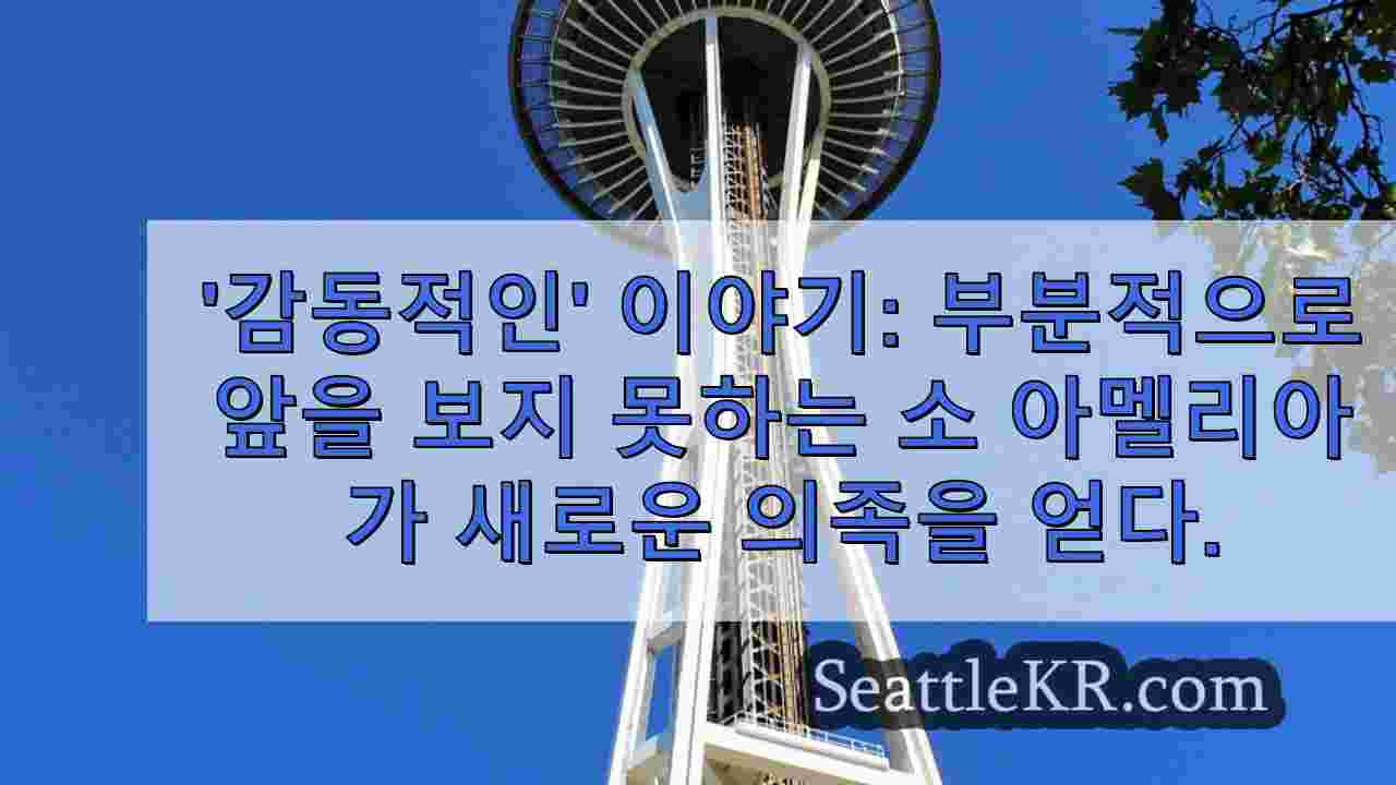 시애틀 뉴스 SeattleKR