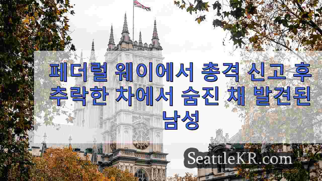 시애틀 뉴스 SeattleKR