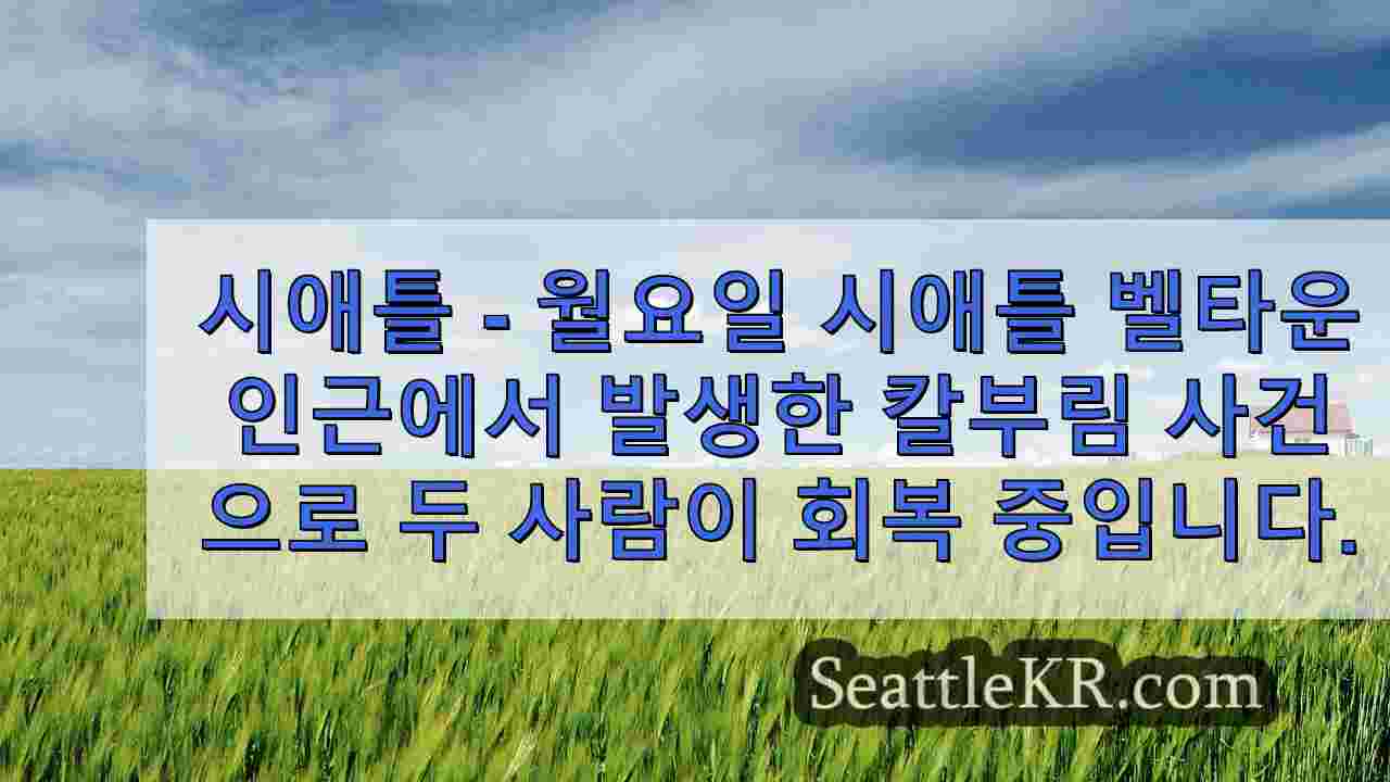 시애틀 뉴스 SeattleKR
