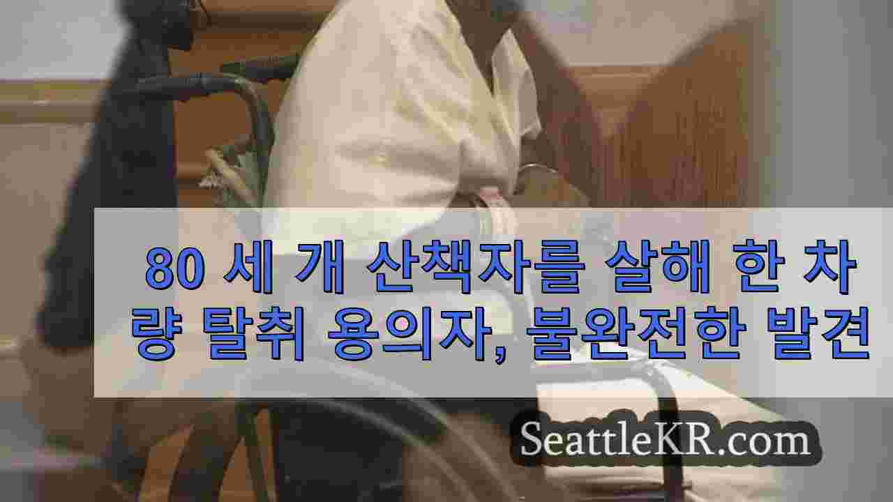 80 세 개 산책자를 살해 한 차량 탈취 용의자가 재판을받을 무능력한