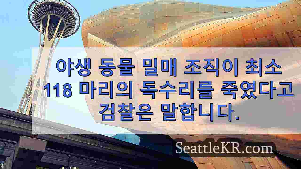 시애틀 뉴스 SeattleKR