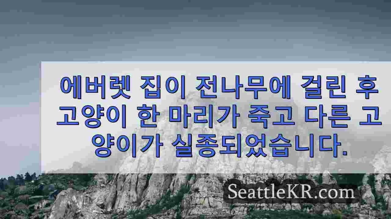 시애틀 뉴스 SeattleKR