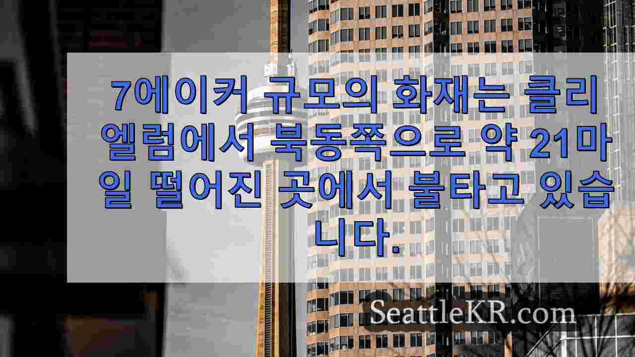 시애틀 뉴스 SeattleKR