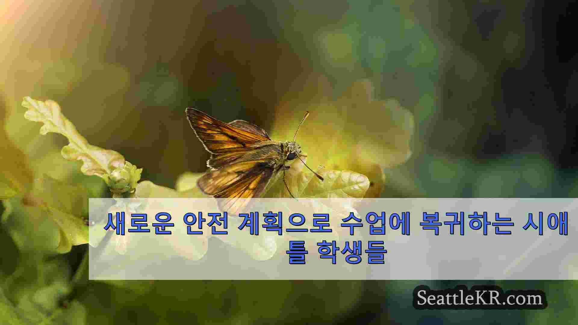 시애틀 뉴스 SeattleKR