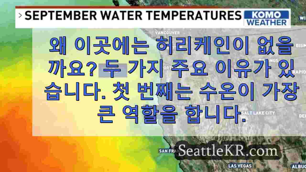 시애틀 뉴스 SeattleKR