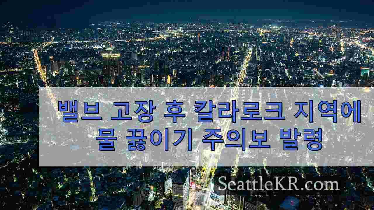 시애틀 뉴스 SeattleKR