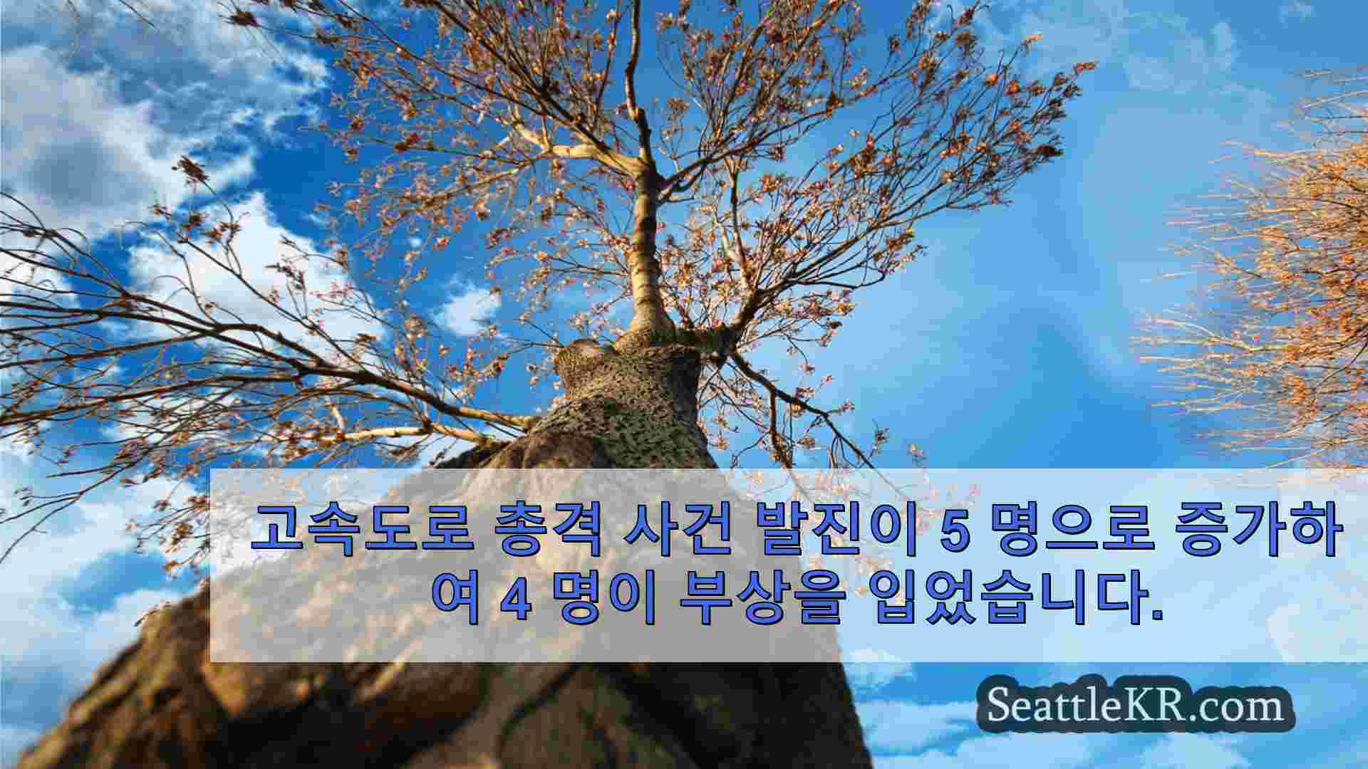 시애틀 뉴스 SeattleKR