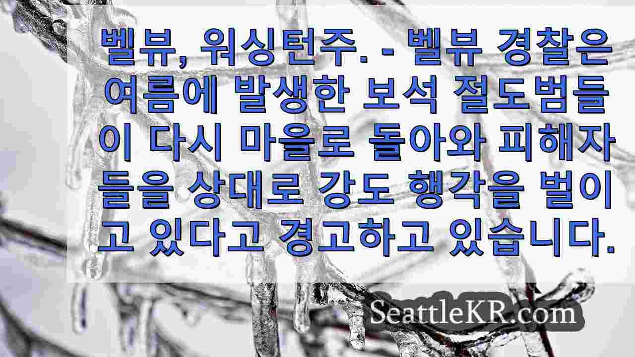시애틀 뉴스 SeattleKR