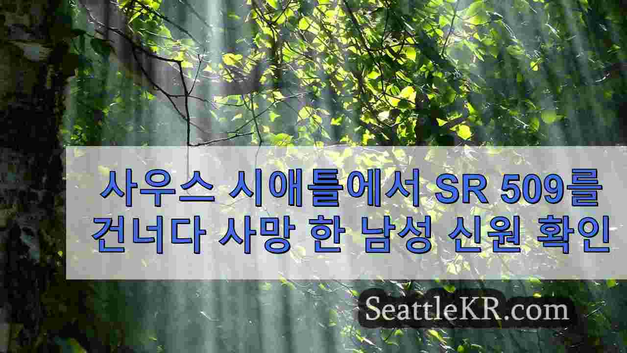 시애틀 뉴스 SeattleKR