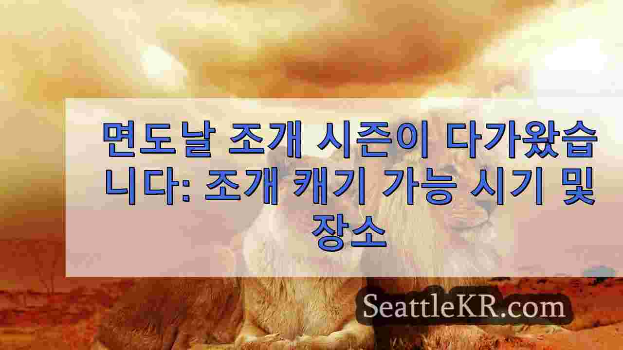 시애틀 뉴스 SeattleKR