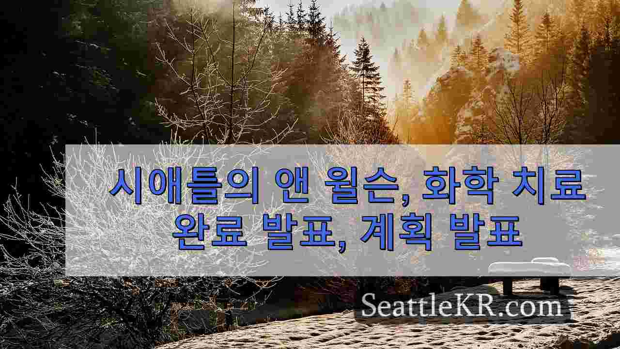 시애틀 뉴스 SeattleKR