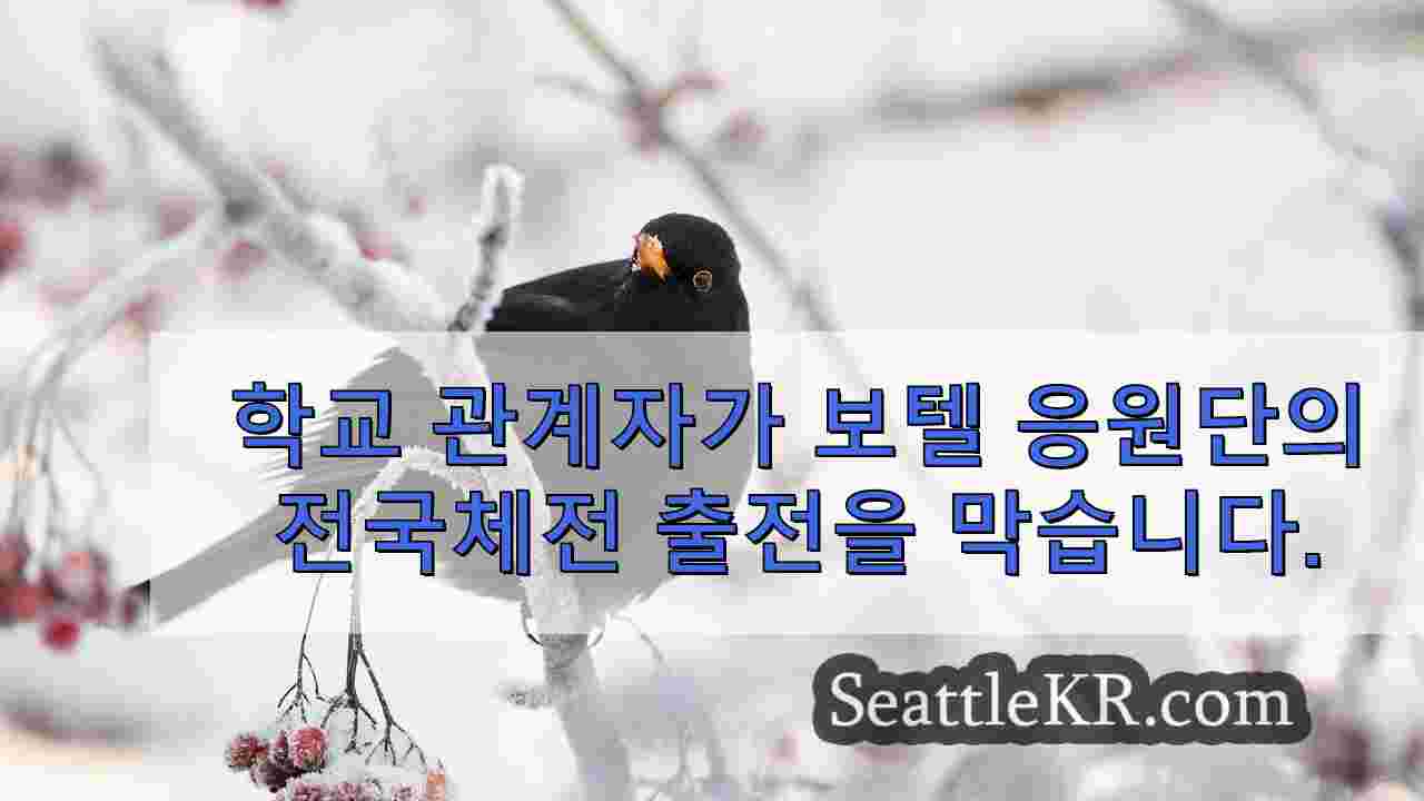 시애틀 뉴스 SeattleKR